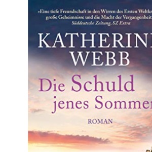 Die Schuld jenes Sommers: Roman