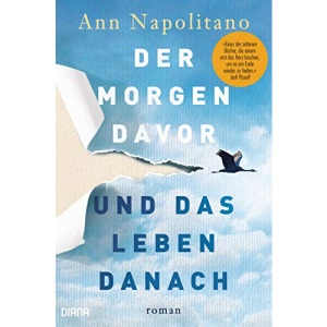 Der Morgen davor und das Leben danach: Roman