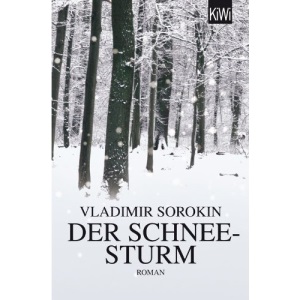 Der Schneesturm