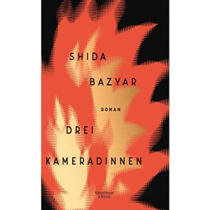 Drei Kameradinnen: Roman