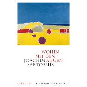 Wohin mit den Augen: Gedichte