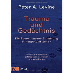 Trauma und Gedächtnis: Die Spuren unserer Erinnerung in Körper und Gehirn - Wie wir traumatische Erfahrungen verstehen und verarbeiten -