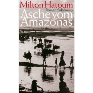 Asche vom Amazonas