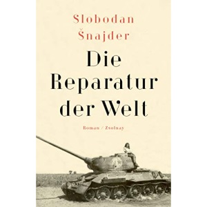 Die Reparatur der Welt: Roman