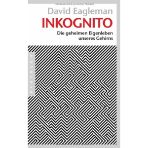 Inkognito: Die geheimen Eigenleben unseres Gehirns