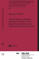 Schutzluecken im System effektiven Rechtsschutzes bei der Durchsetzung von Schadensersatzanspruechen