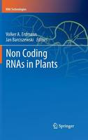 Non Coding RNAs in Plants