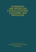 Atmungswege und Lungen