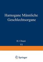 Harnorgane Männliche Geschlechtsorgane