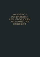Niere und ableitende Harnwege