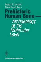 Prehistoric Human Bone