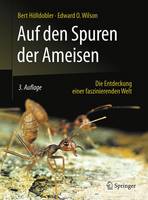 Auf den Spuren der Ameisen