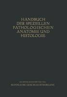 Harnorgane Männliche Geschlechtsorgane