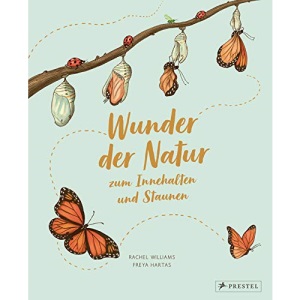 Wunder der Natur zum Innehalten und Staunen: 50 kleine Geschichten über alltägliche Naturereignisse