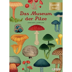 Das Museum der Pilze: Eintritt frei!