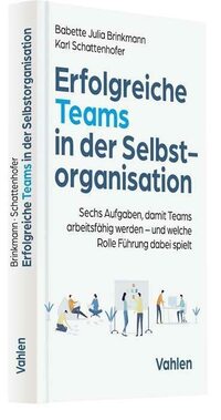 Erfolgreiche Teams in der Selbstorganisation: Sechs Aufgaben, damit Teams arbeitsfähig werden - und welcheRolle Führung dabei spielt