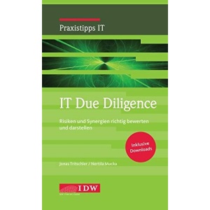 IT Due Diligence: Risiken und Synergien richtig bewerten und darstellen