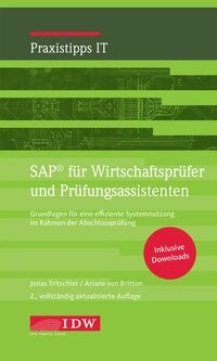 SAP für Wirtschaftsprüfer und Prüfungsassistenten: Grundlagen für eine effiziente Systemnutzung im Rahmen der Abschlussprüfung