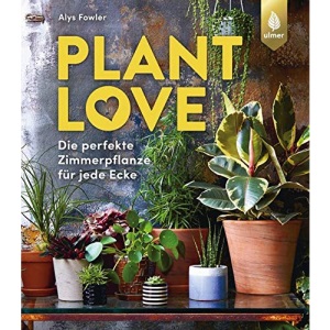 Plant Love: Die perfekte Zimmerpflanze für jede Ecke