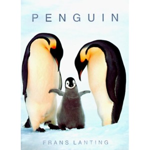 Penguins: FO (Photobook S.)