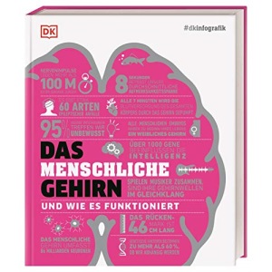 #dkinfografik. Das menschliche Gehirn und wie es funktioniert