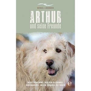 Arthur und seine Freunde: Neues vom Hund, der den Dschungel durchquerte, um ein Zuhause zu finden