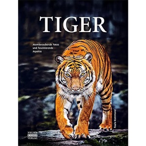 Tiger: Atemberaubende Fotos und faszinierende Aspekte