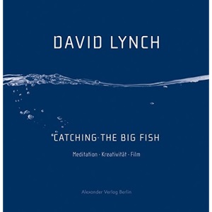 Catching the Big Fish: Meditation Kreativität Film