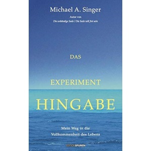 Das Experiment Hingabe: Mein Weg in die Vollkommenheit des Lebens