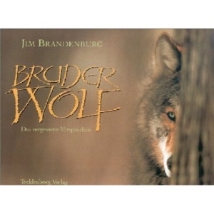 Bruder Wolf: Das Vergessene Versprechen
