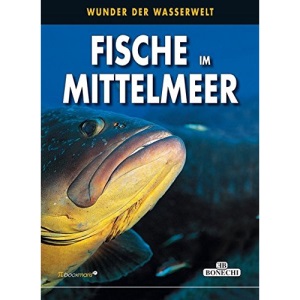 Fische im Mittelmeer: Wunder der Unterwasserwelt