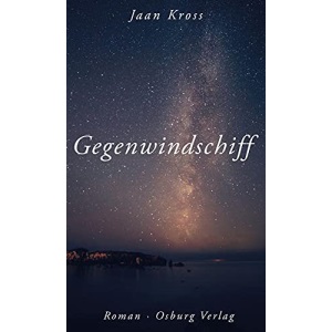 Gegenwindschiff: Roman