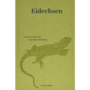 Eidechsen: Ein Portrait
