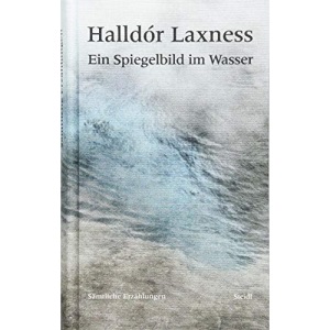 Ein Spiegelbild im Wasser: Sämtliche Erzählungen