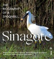 Sinagote, the biography of a spoonbill