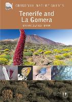 Tenerife and La Gomera