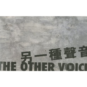 The Other Voice