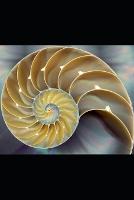 Spiritual Symbols