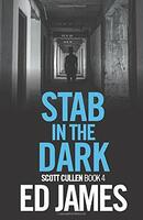 Stab in the Dark (Detective Scott Cullen Mysteries)