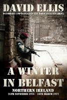 A Winter in Belfast